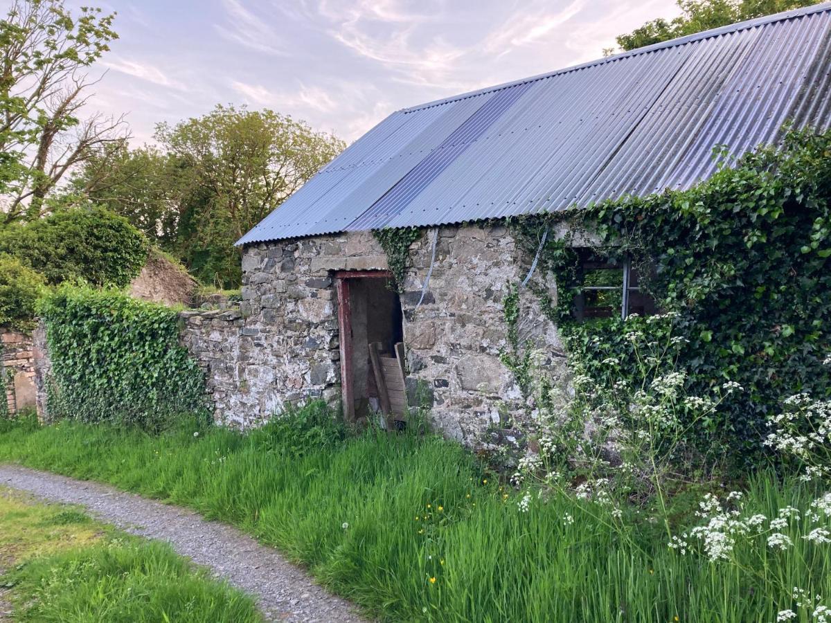 キャッスルウェラン Hillhead Country Retreatヴィラ エクステリア 写真