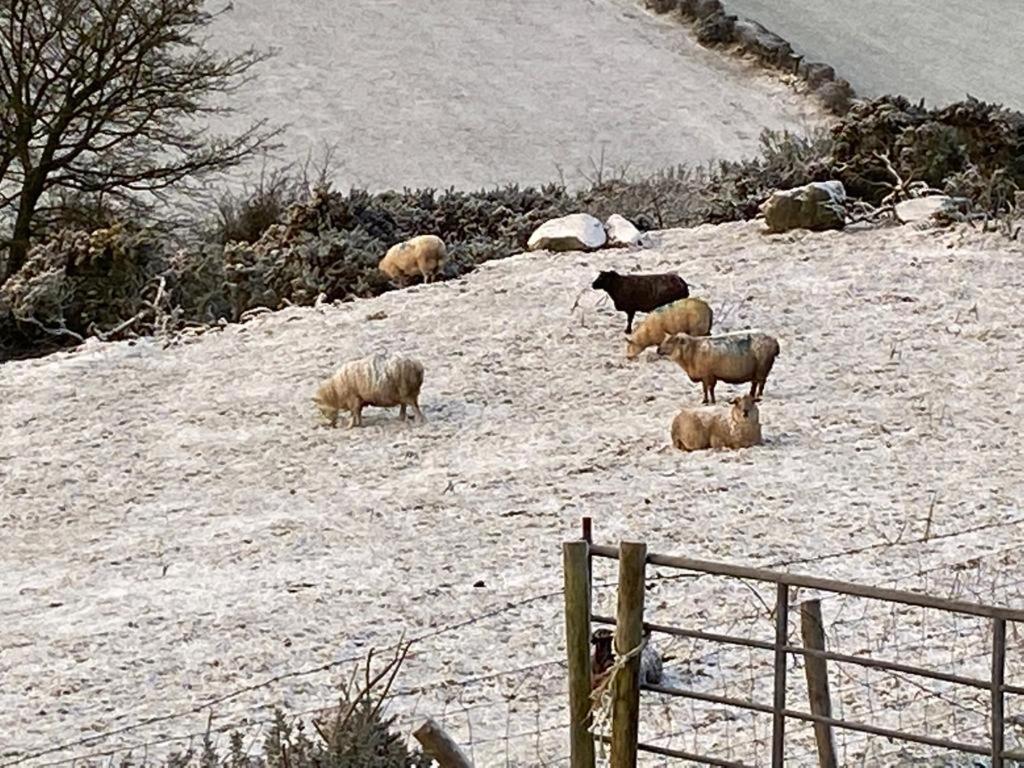 キャッスルウェラン Hillhead Country Retreatヴィラ エクステリア 写真