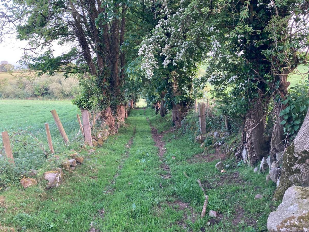 キャッスルウェラン Hillhead Country Retreatヴィラ エクステリア 写真